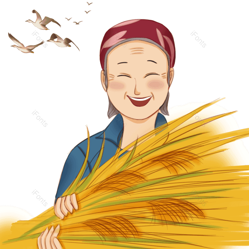 芒种图片,劳动节元素,稻谷PNG,丰收免抠素材